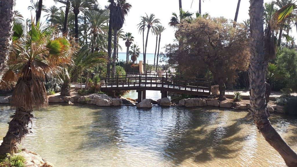 Friendly Feline Residents