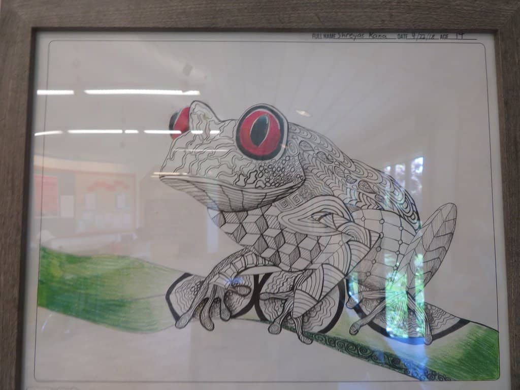 Vibrant Fall Foliage