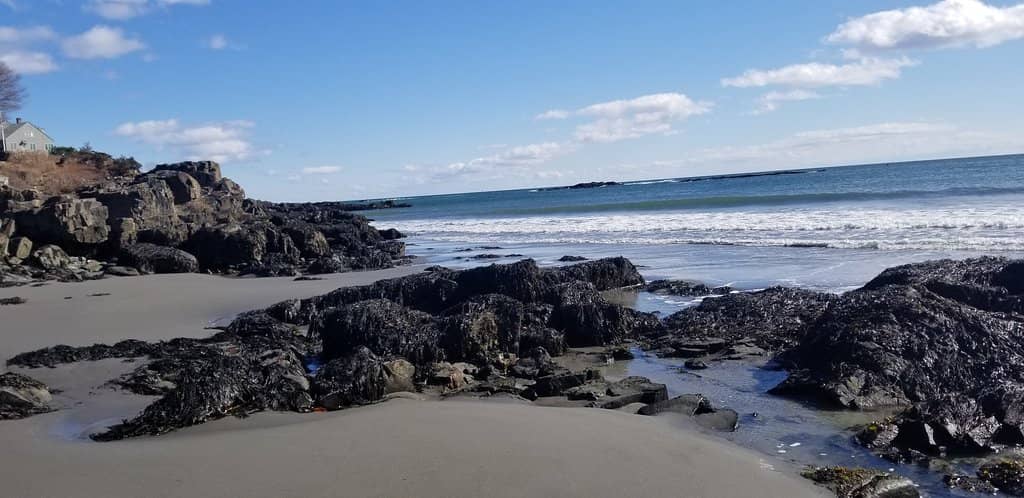 York Harbor Beach Access
