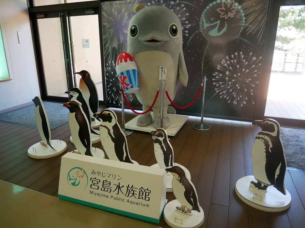 Touch Pools & Petting Areas