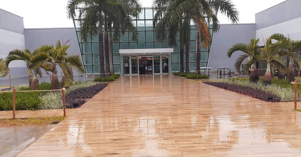 Children's Entertainment