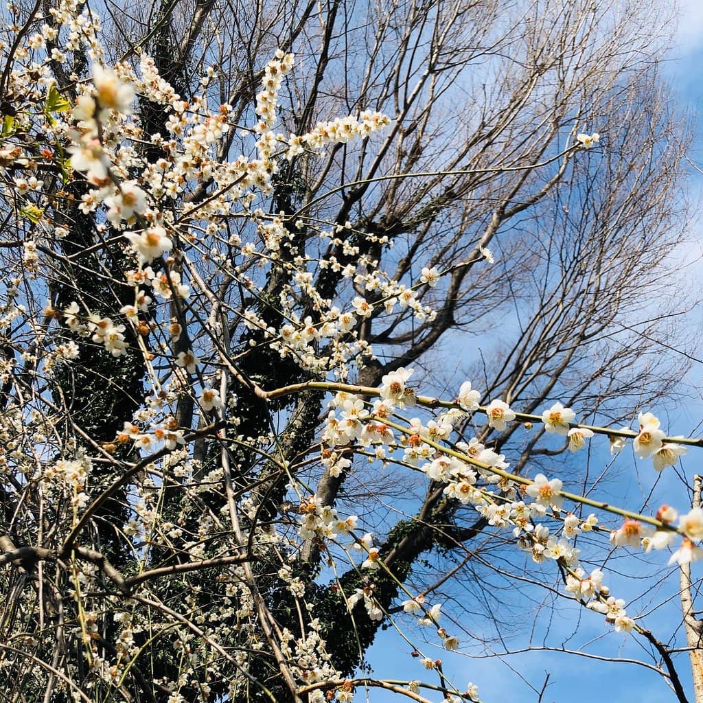 Mini Library & Rest Areas