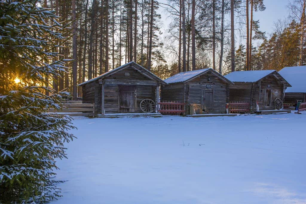 Highlights