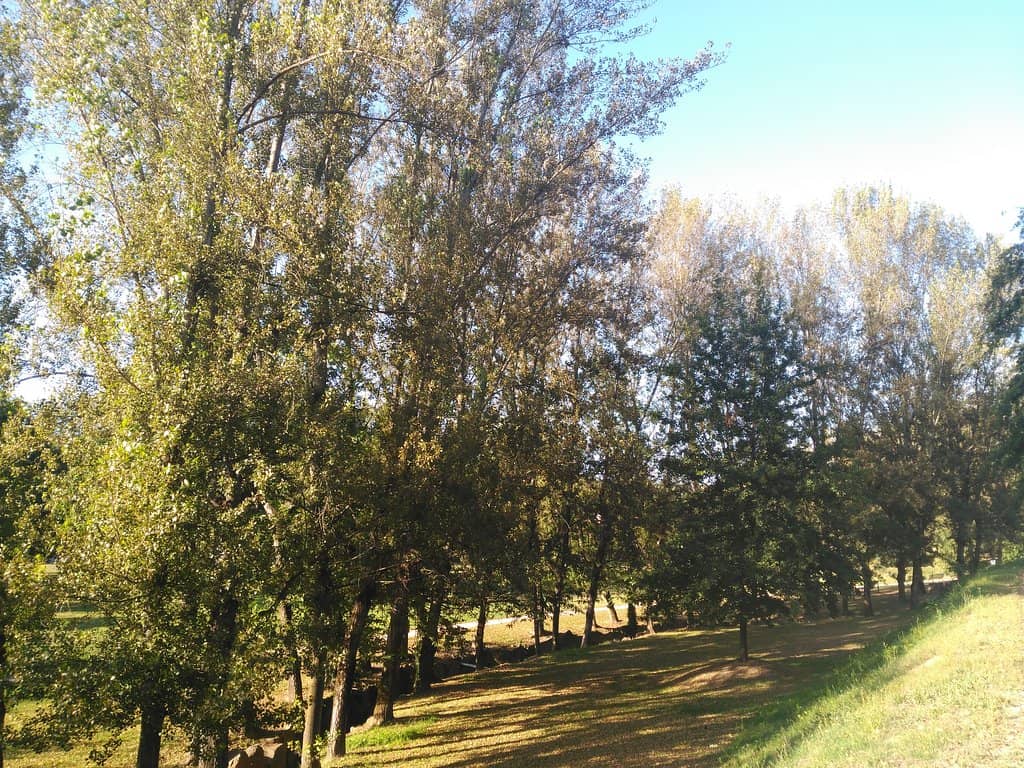 Jogging and Walking Trails