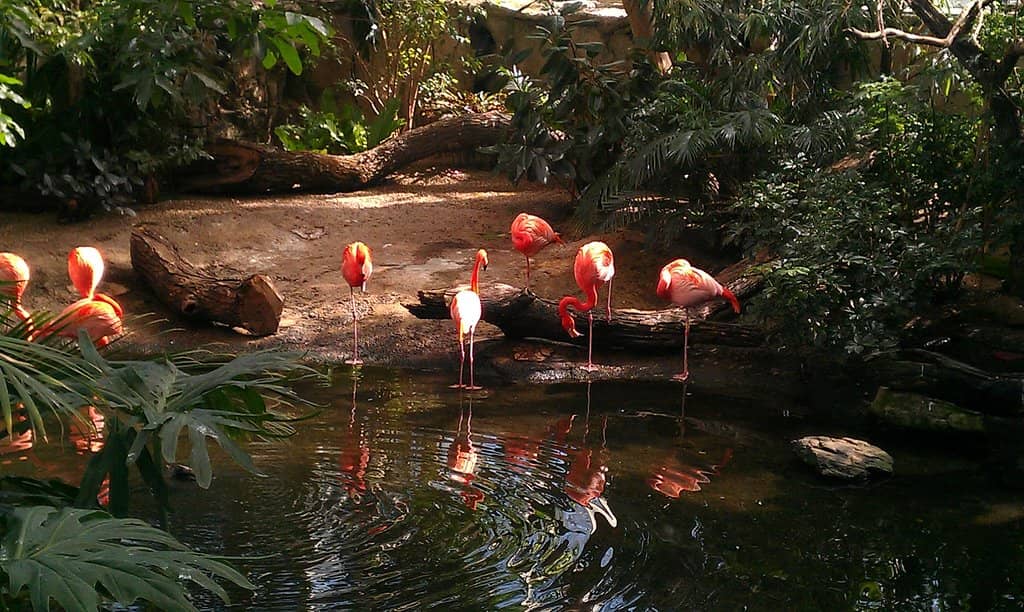 Third hero image
