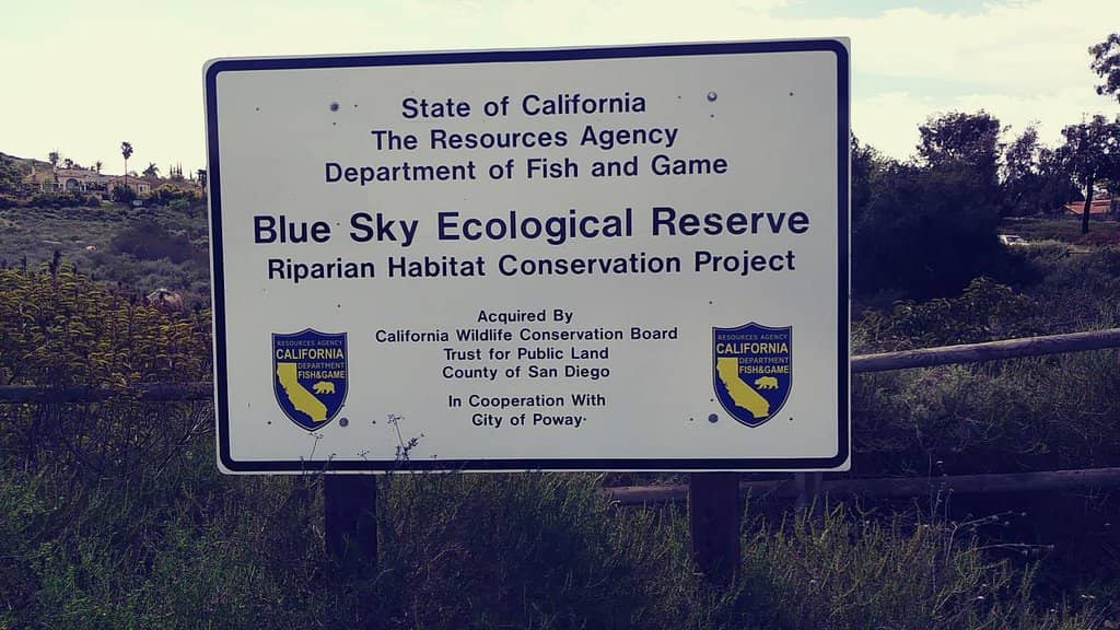 Lake Poway Loop
