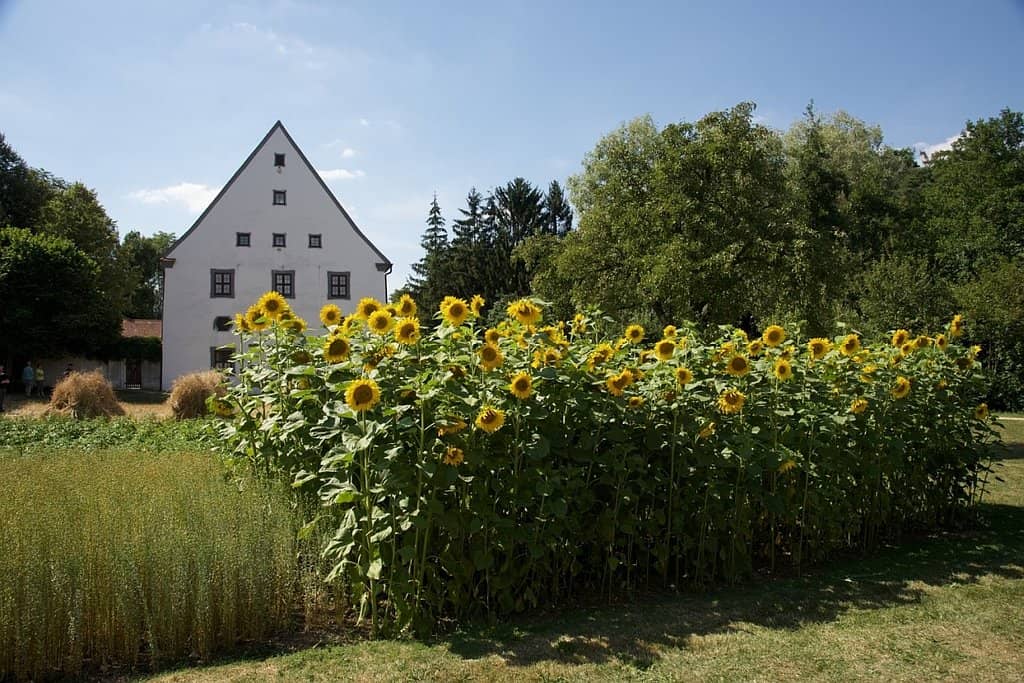 Vividly Designed Exhibits