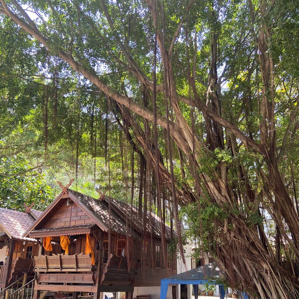 Wat Nai Harn Temple