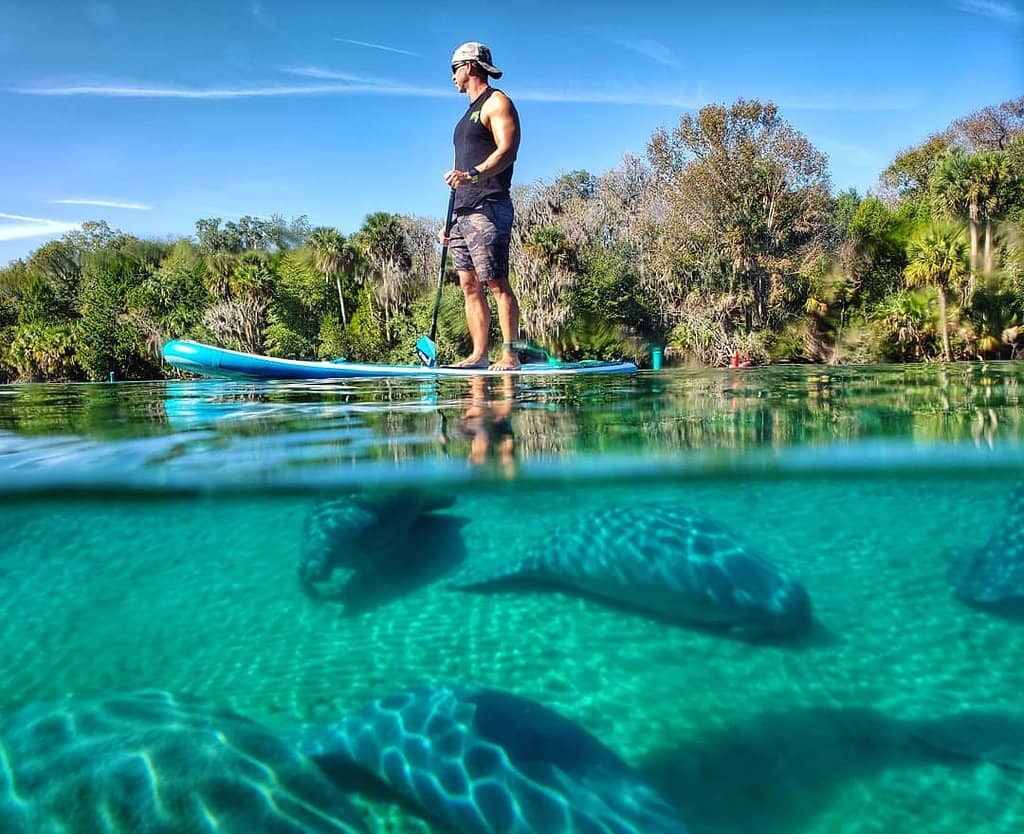 Abundant Aquatic Life