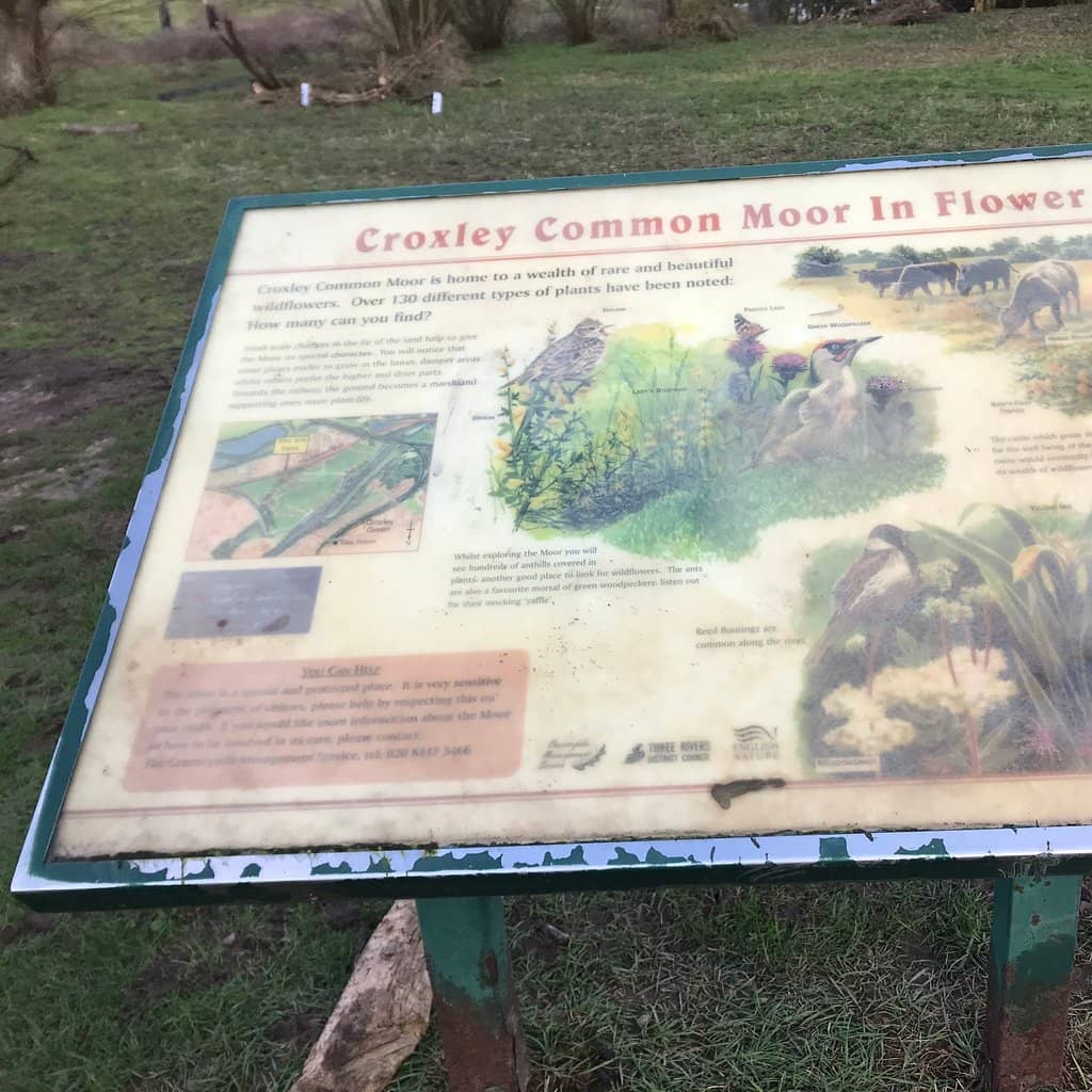 Biodiversity Hotspot