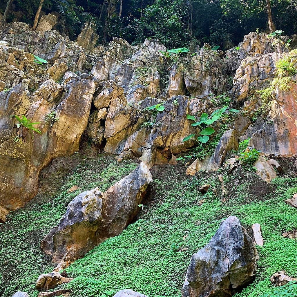 Hike to Antiques