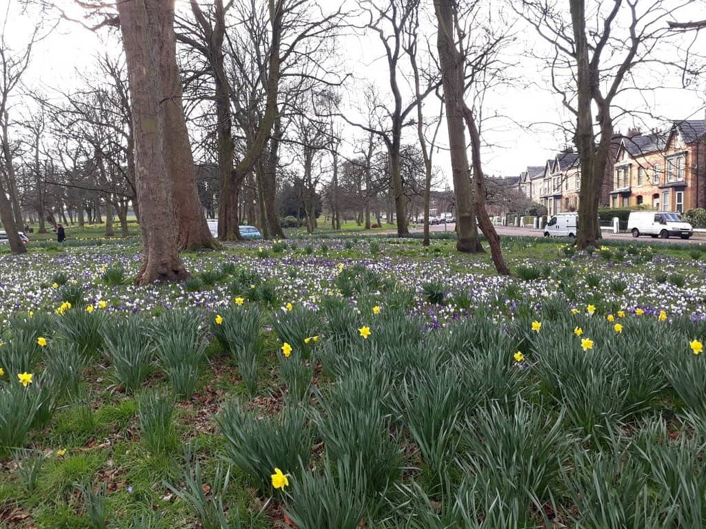 Children's Playground