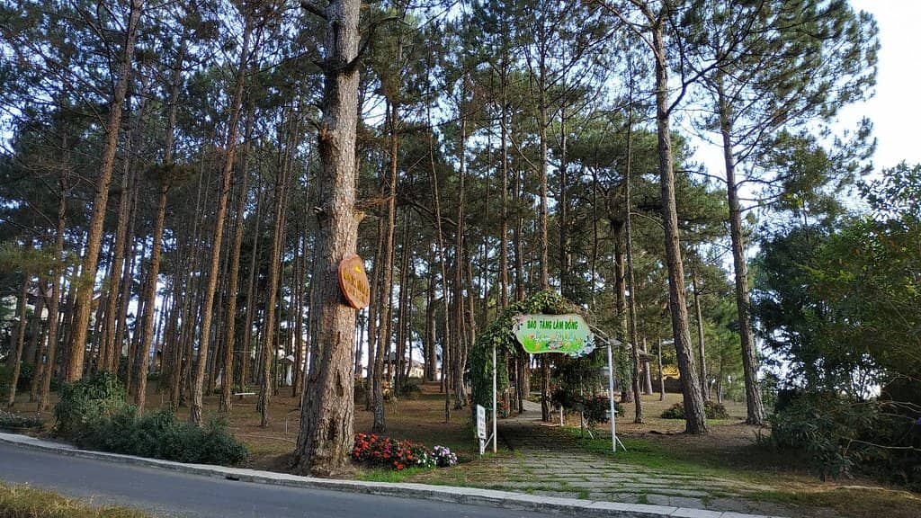 Natural History Collection