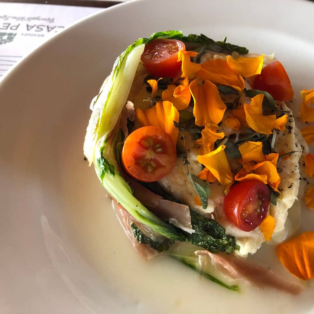 Andes Mountain Views