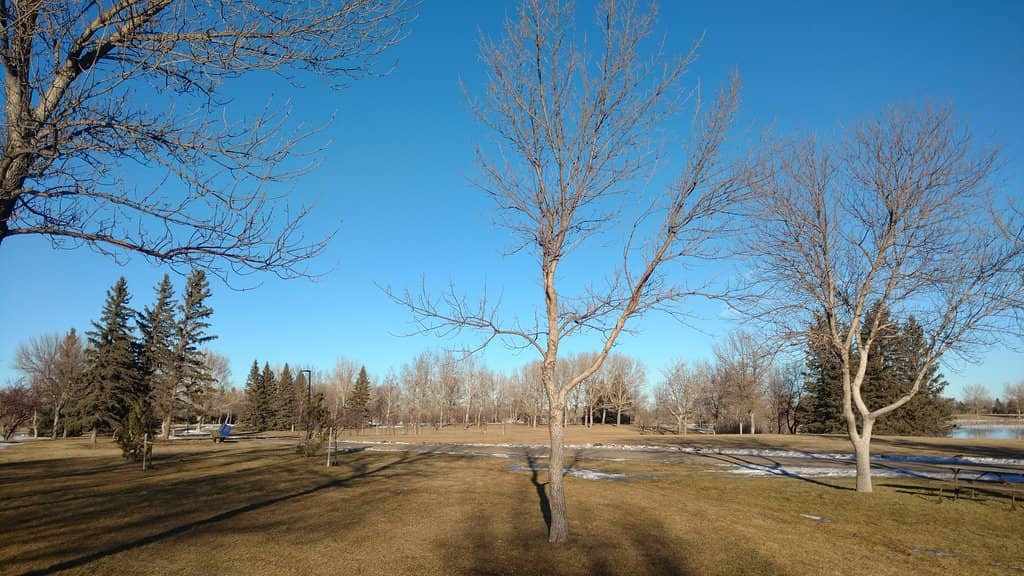 'Tranquil Tracks' Mural