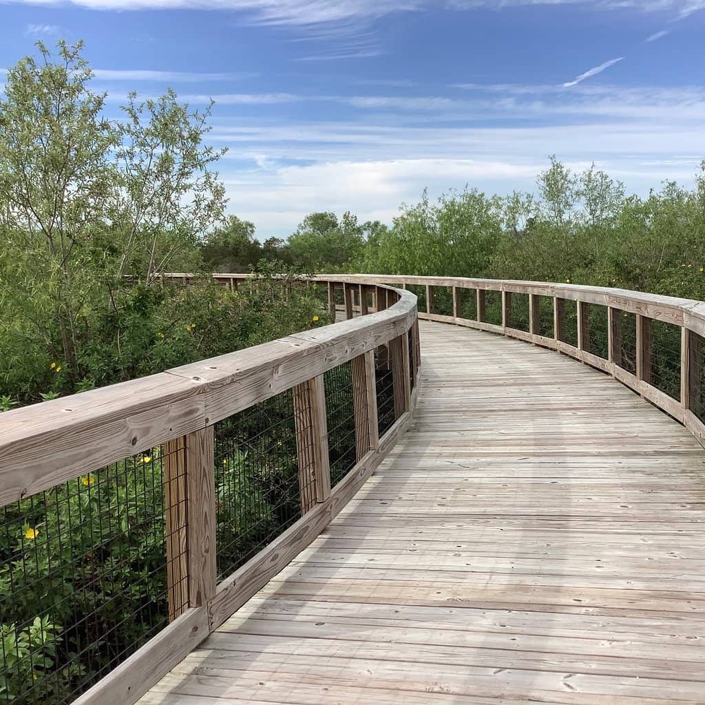 Diverse Wetland Habitats