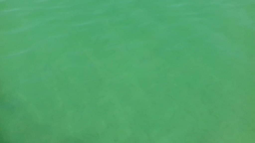 Crystal Clear Waters