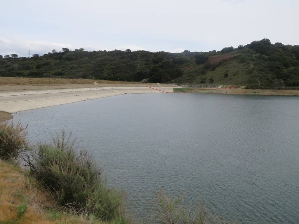 Tony Look Trail Loop