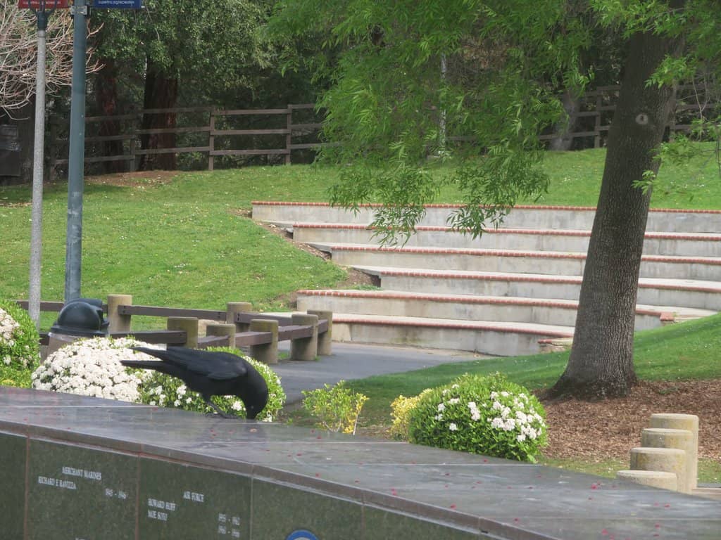 Recreational Facilities