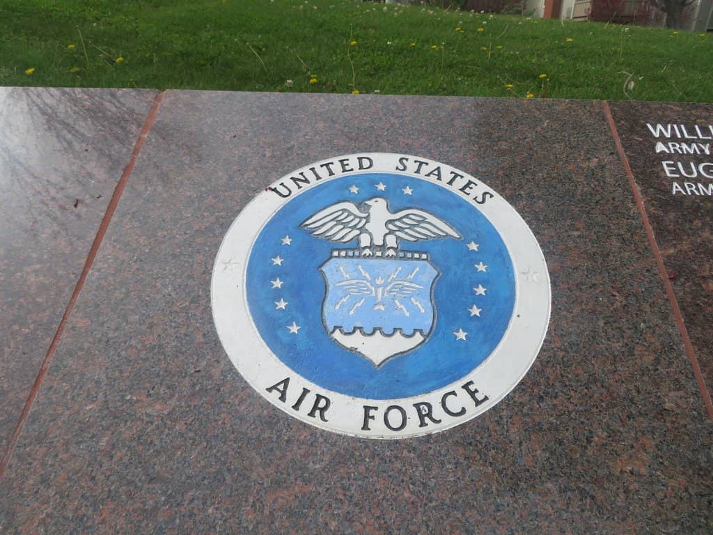 Cherry Blossom Spectacle