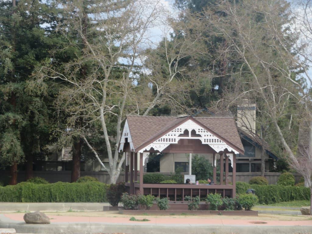 Vibrant Festival Hub