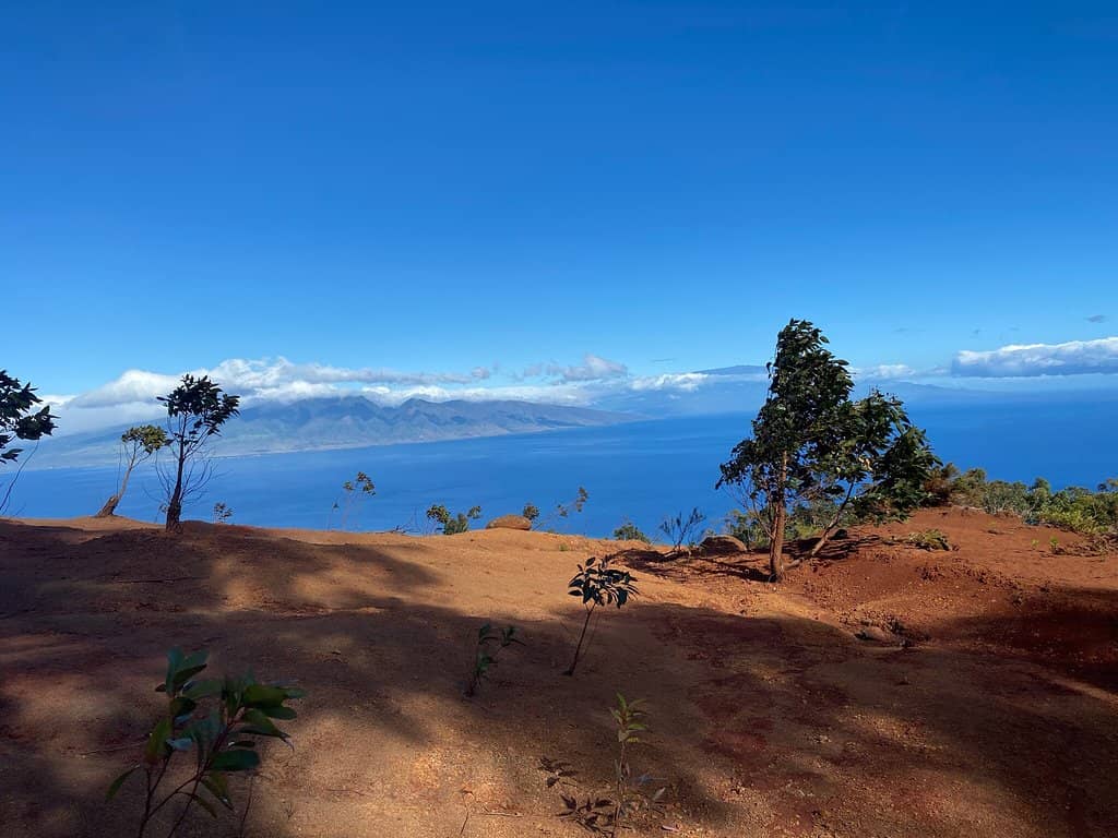 Summit Scramble