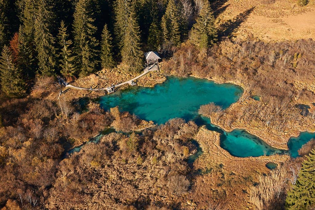 The Lake's Refreshing Waters