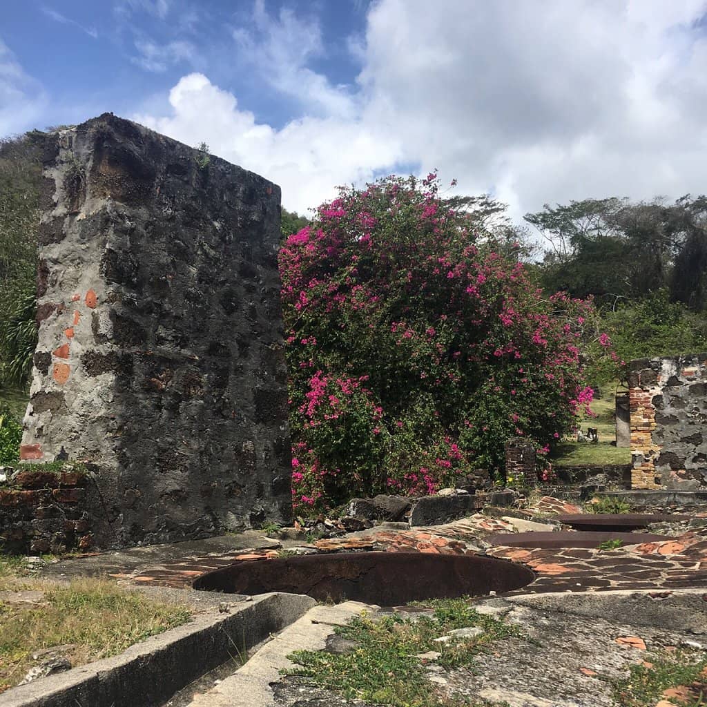 On-Site Rum Tasting