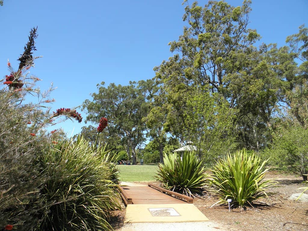 Scenic Walking Paths