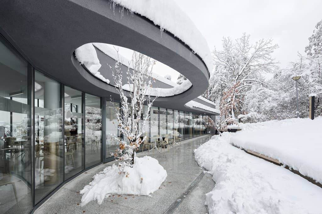 The House of Flowers