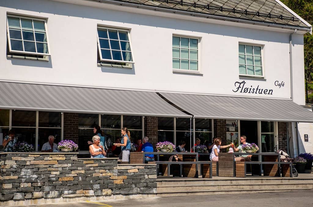 Forest Hiking Trails