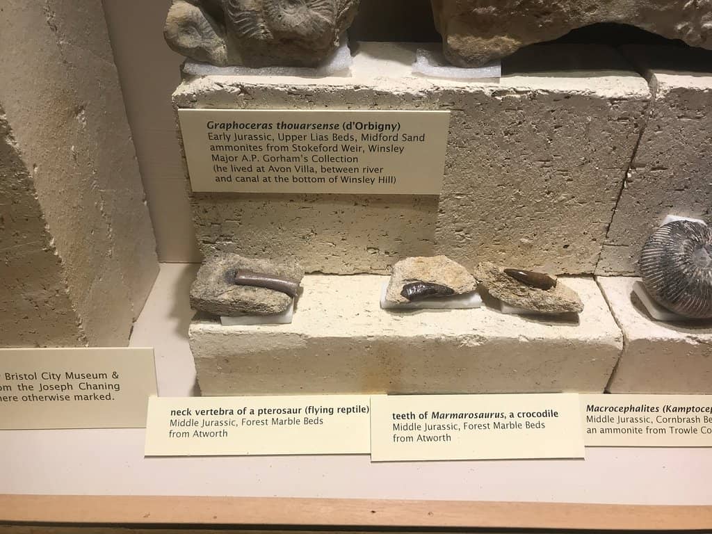 Local History Archives