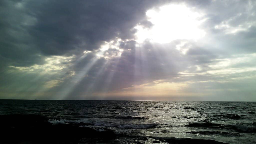 Olive Ridley Turtle Nesting Site