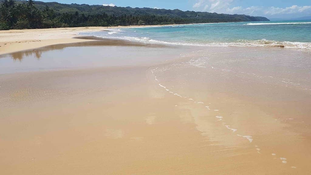 The River Meets the Sea