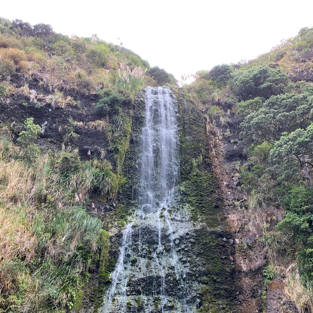 Plunge Pool Relaxation