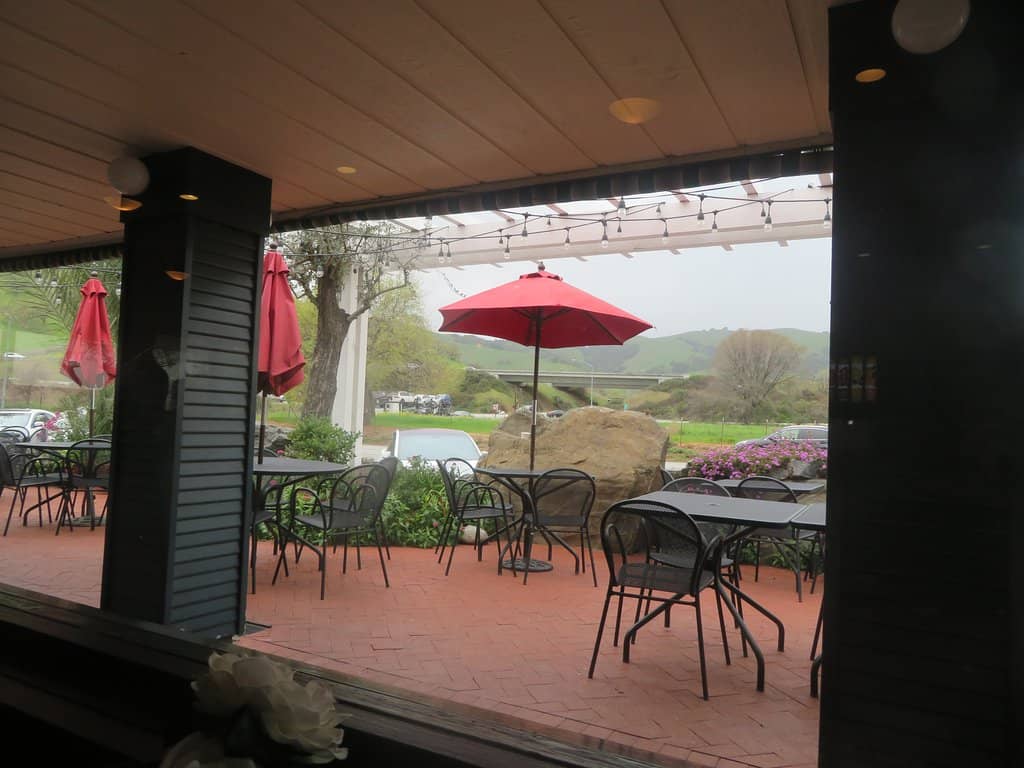 Peahens and Wildlife