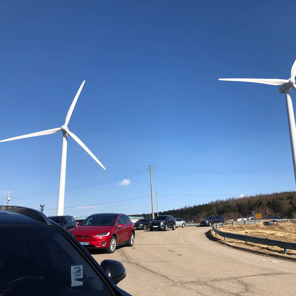 Expansive Green Pastures