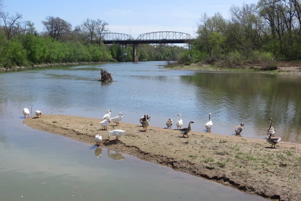 Riverside Fishing