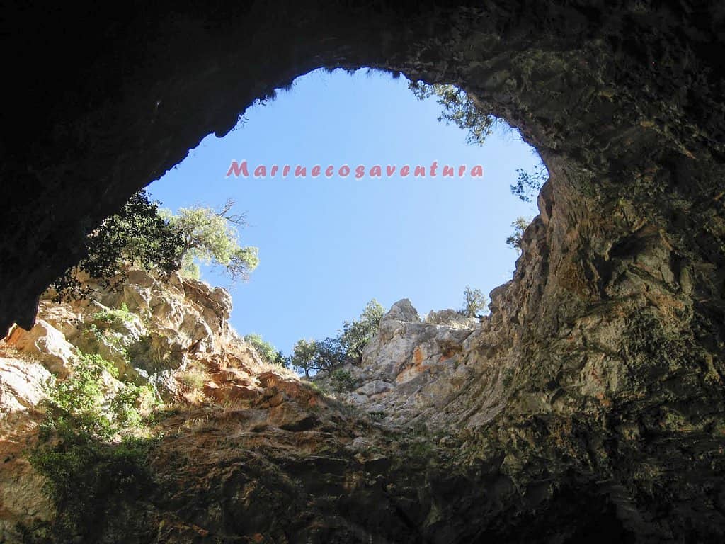 Surrounding Natural Beauty