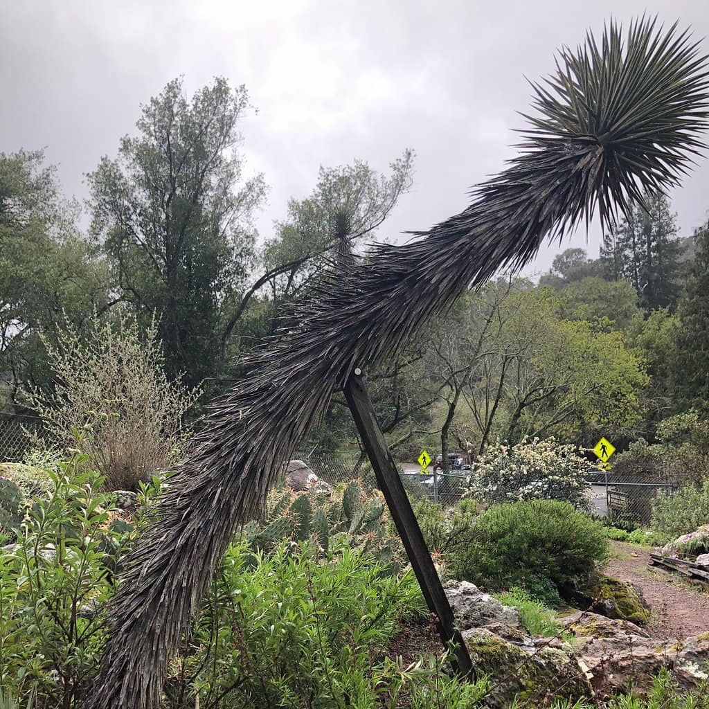 Peaceful Walking Trails