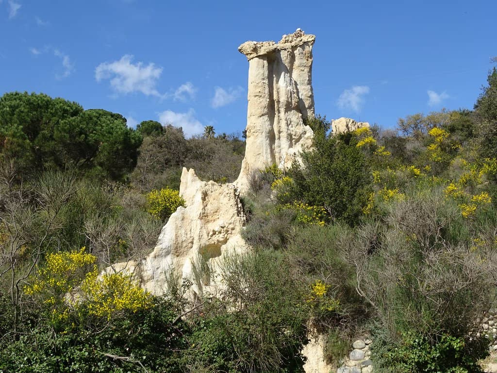Artistic Trail