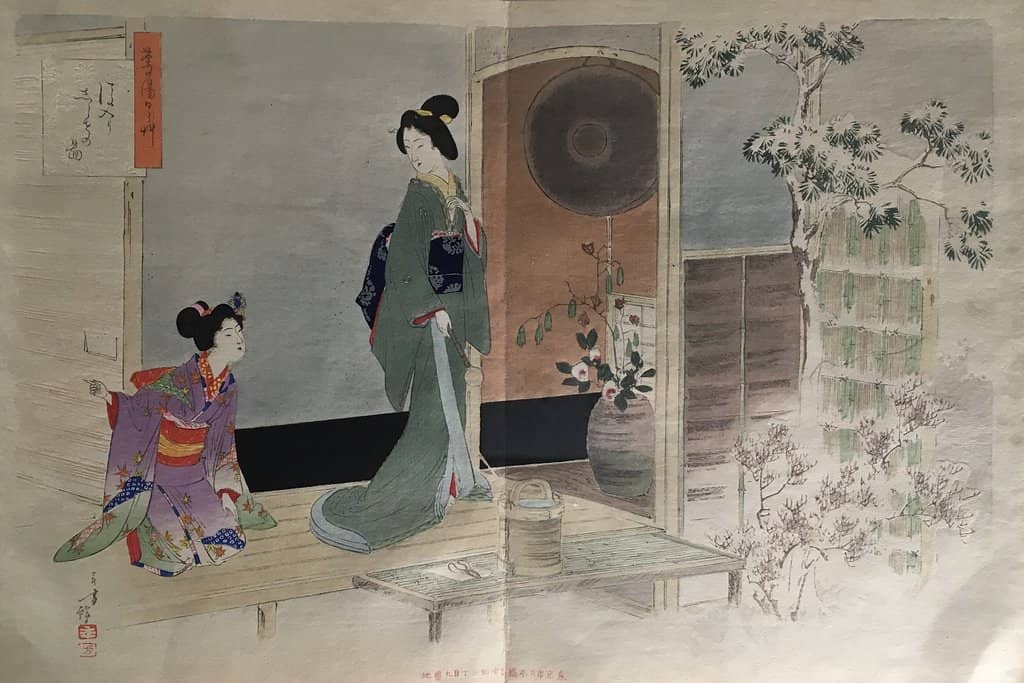 Botany & Anthropology