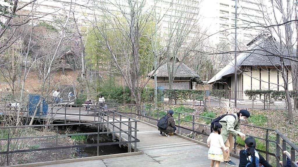 Lush Tree-Lined Trails