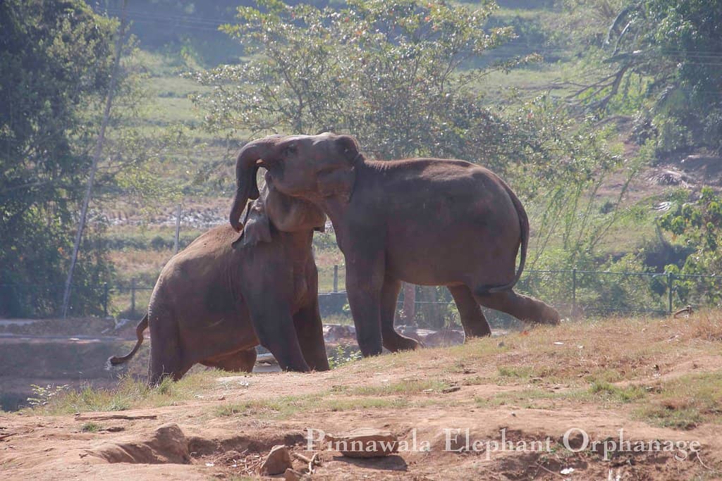 The Grand River Bath