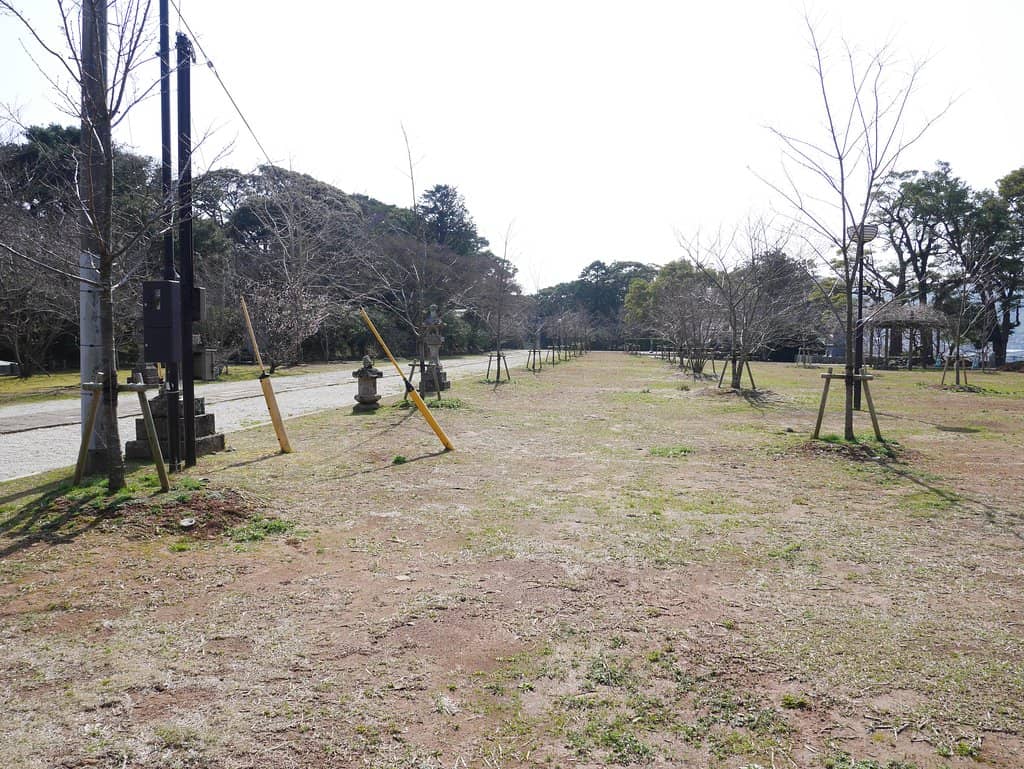 Hirado Bridge & Bay Vista