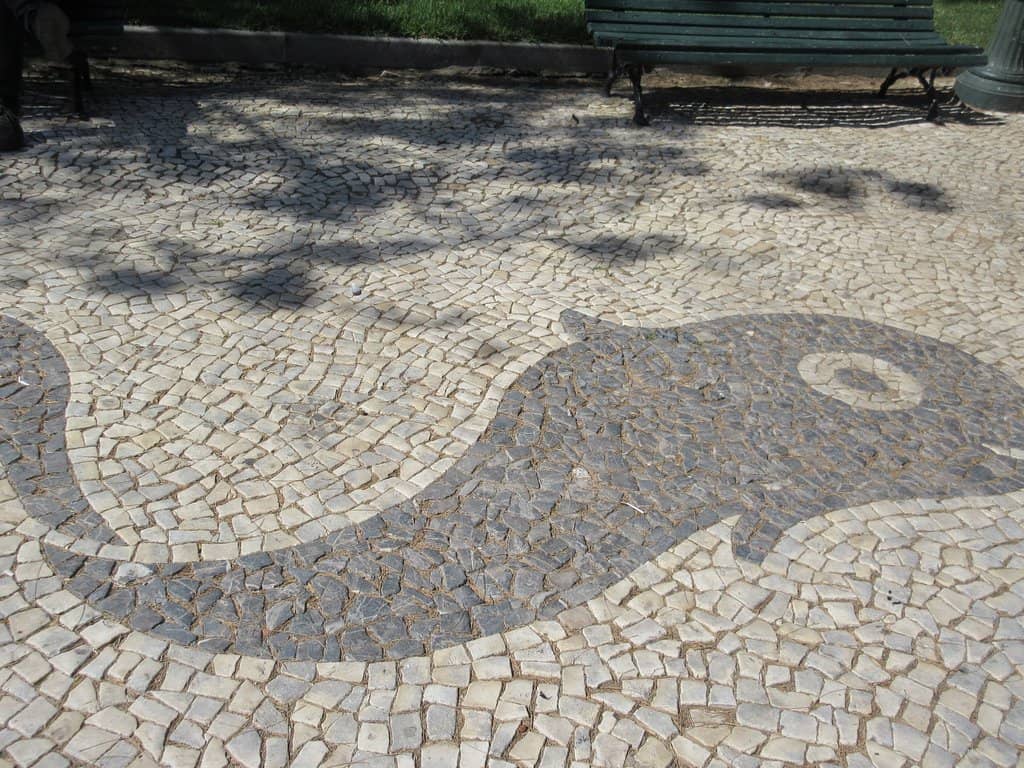 Shaded Seating