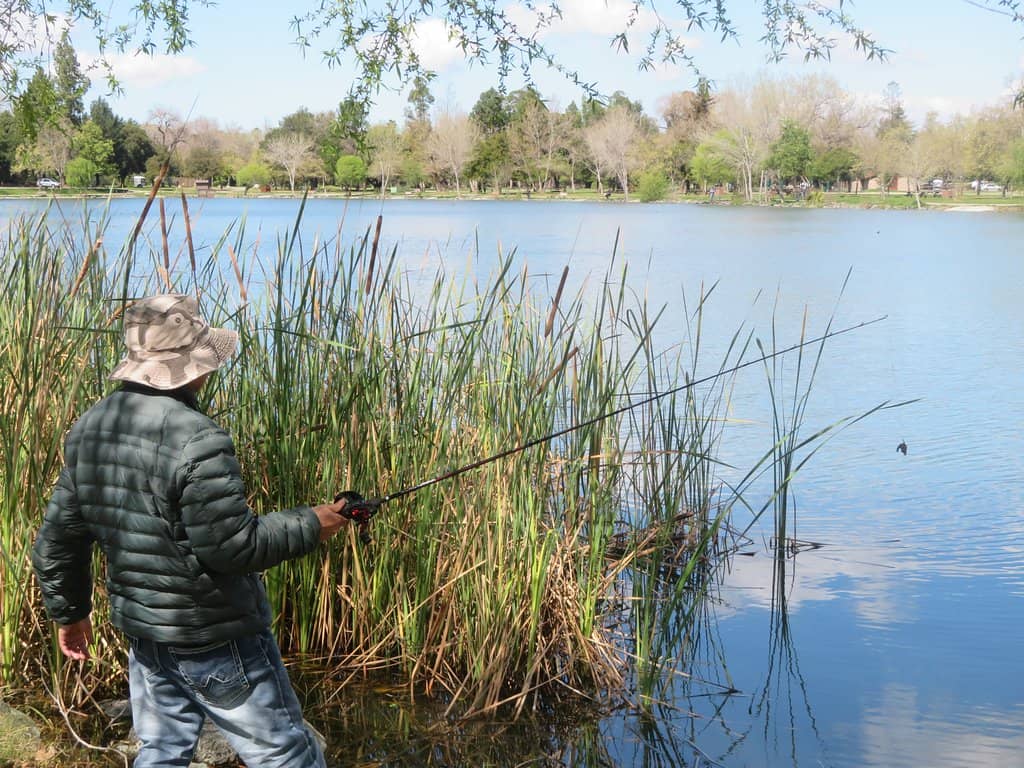 Lake and Wildlife