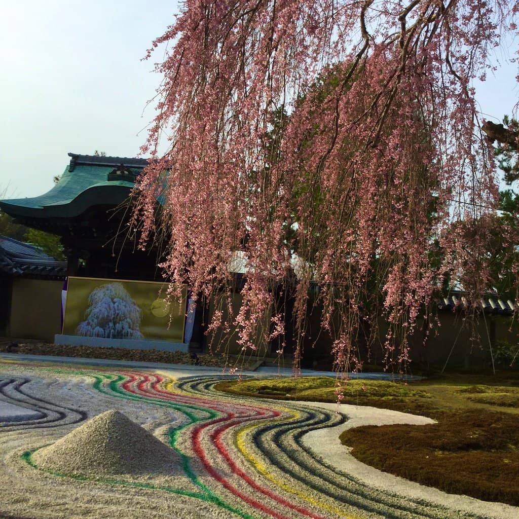 Zen Rock Garden