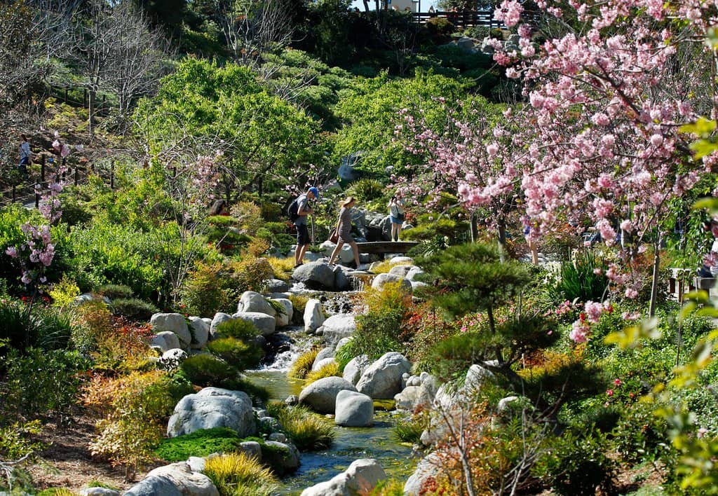 Traditional Tea House