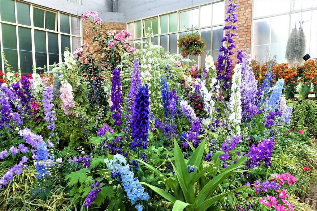 Courtyard Charm